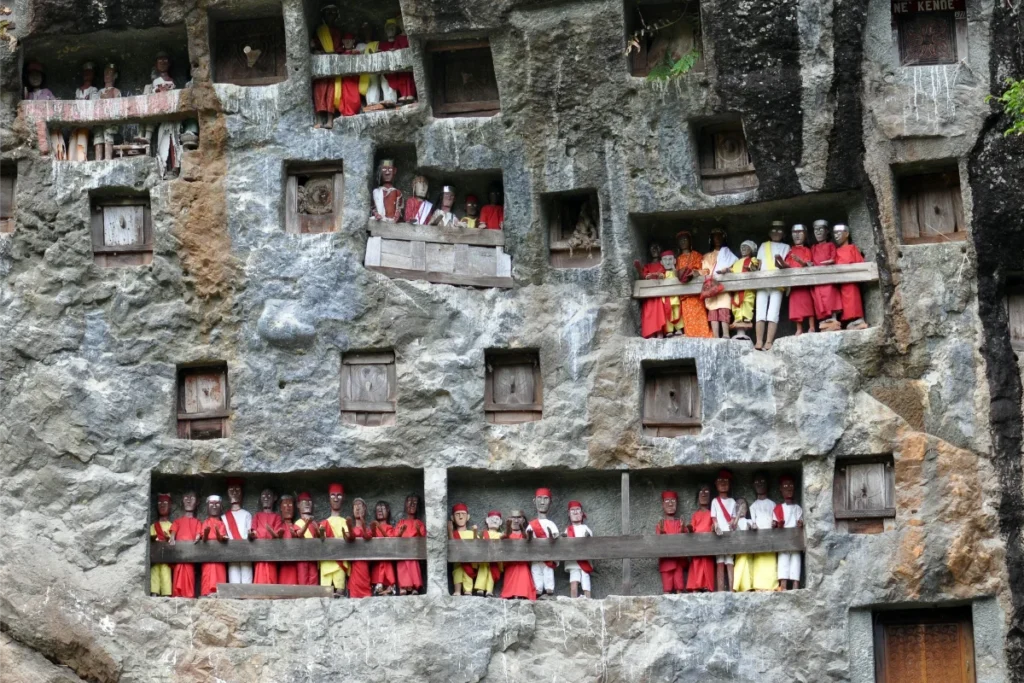 Les Toraja (Sud de Célèbes) sont célèbres pour leurs rituels funéraires spectaculaires