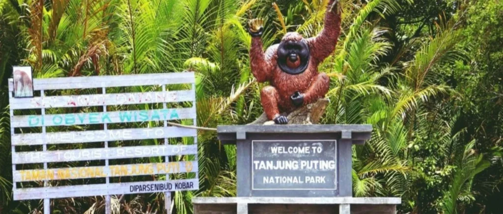 Visite du parc national de Tanjung Puting