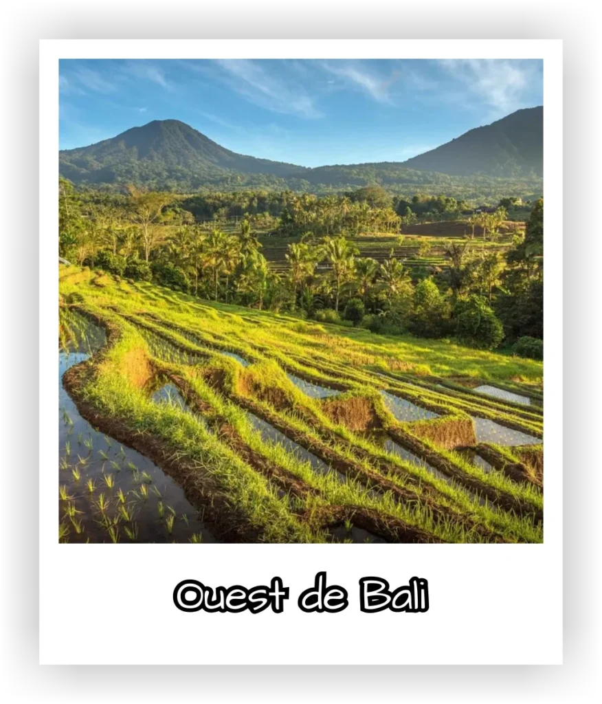 ouest de Bali