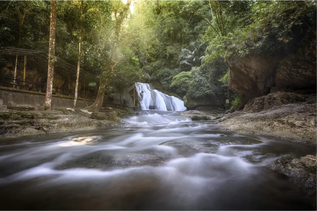 Une Destination Naturelle Entre Aventure et Conservation