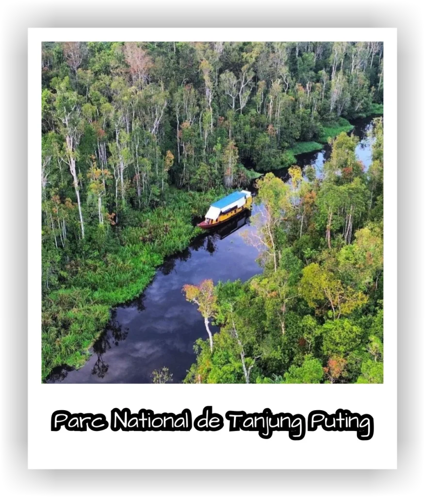 parc national de tanjung puting