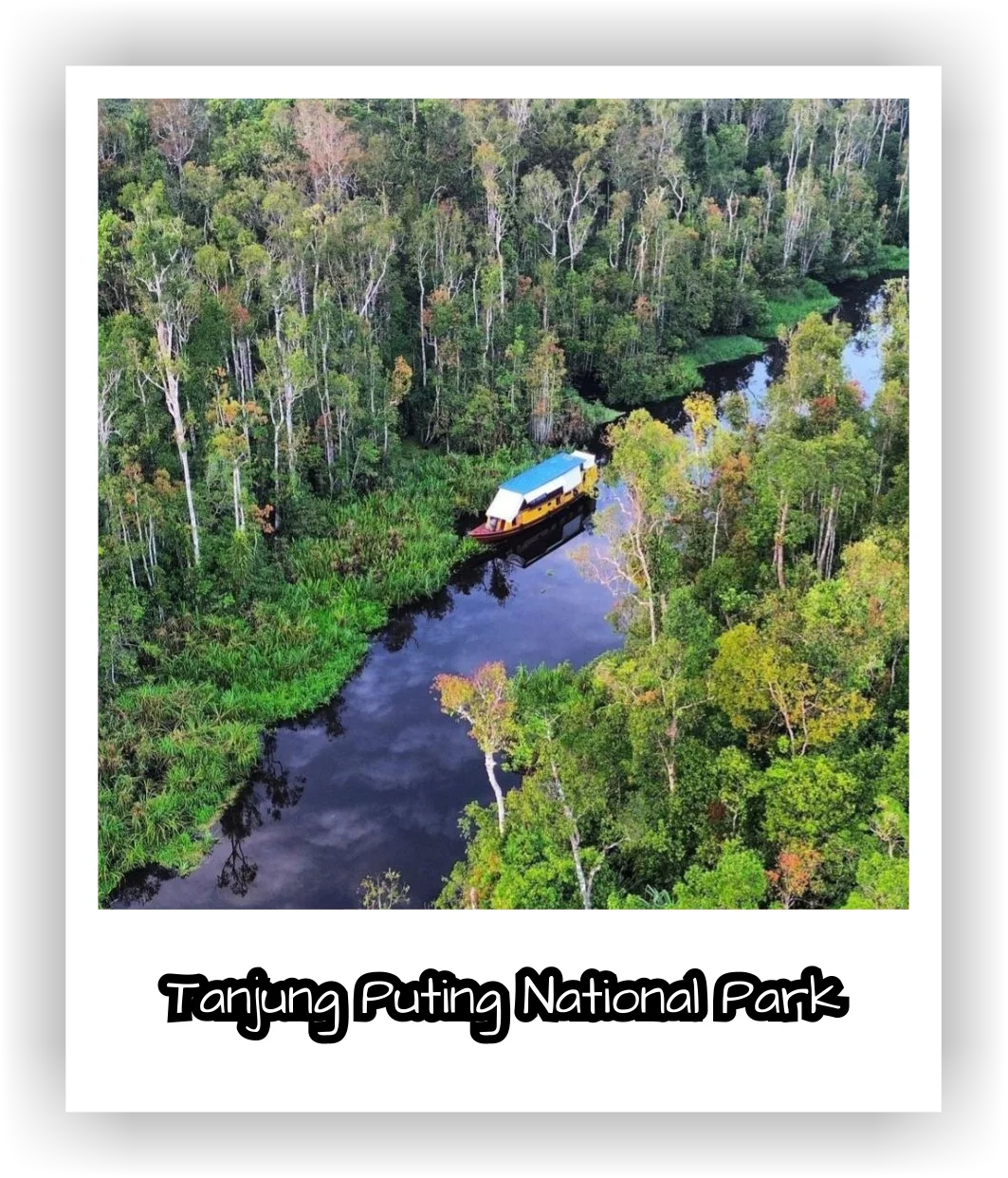 parc national de tanjung puting