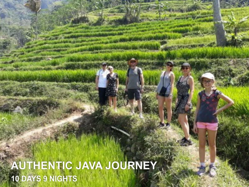 VOYAGE JAVA AUTHENTIQUE