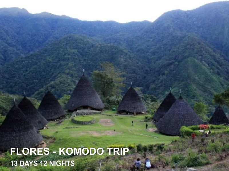 SÉJOURS FLORES - KOMODO