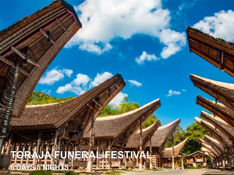 FÊTE DE FUNÉRAIRE DE TORAJA