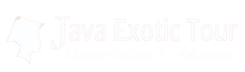 Java Exotic Tour