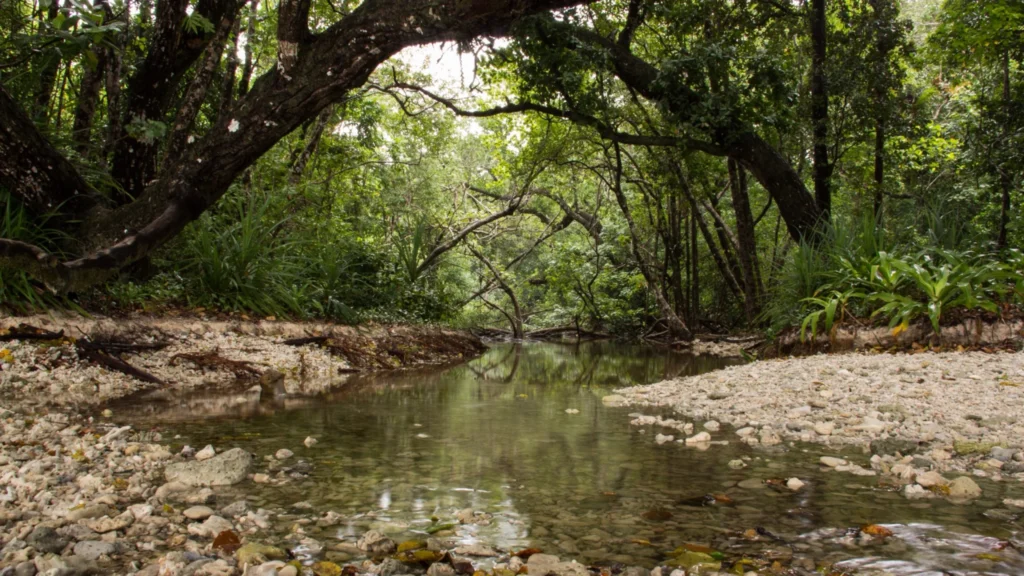 De La Jungle D’Ujung Kulon Aux Volcans Mythiques
