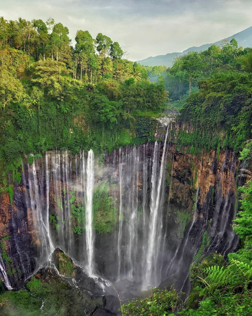 Tumpak Sewu, considérée comme l’une des plus belles cascades d’Indonésie