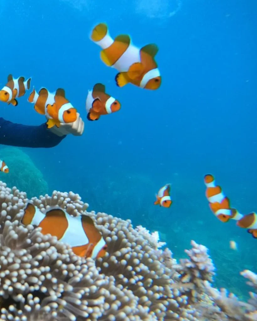 l’archipel de Karimunjawa