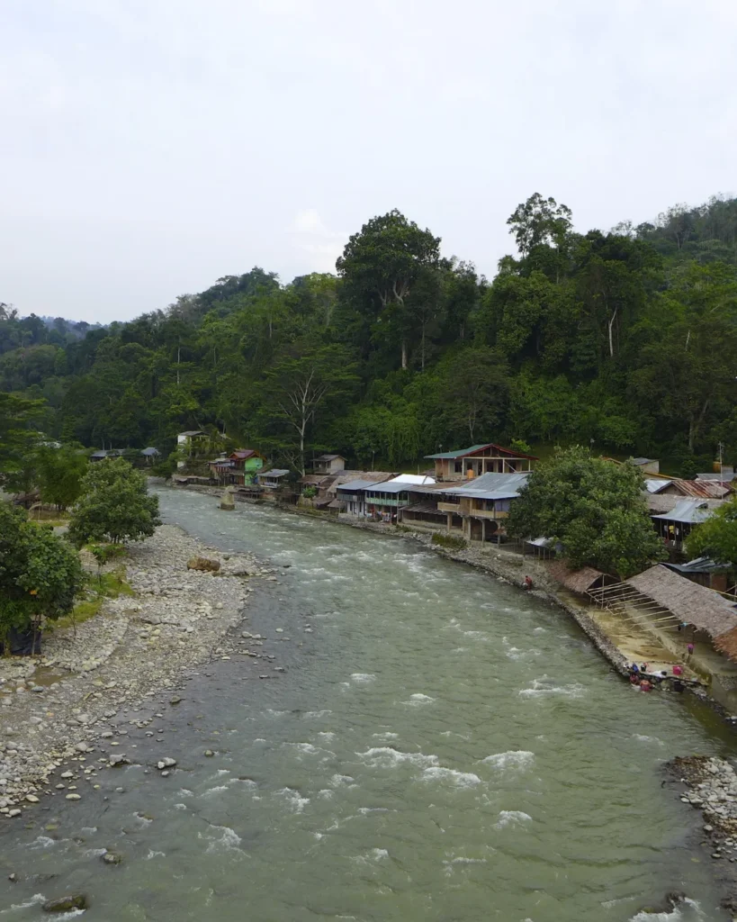 parc National de Bahorok Bukit Lawang