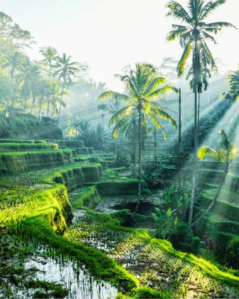 ubud bali